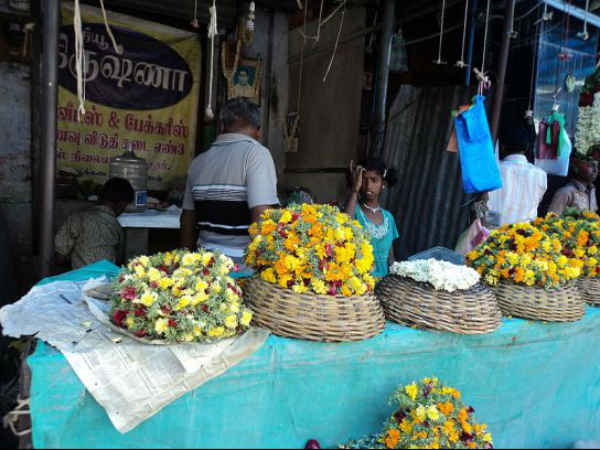 చామంతులు, బంతులు