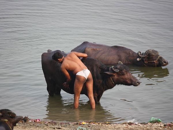 వారణాసి