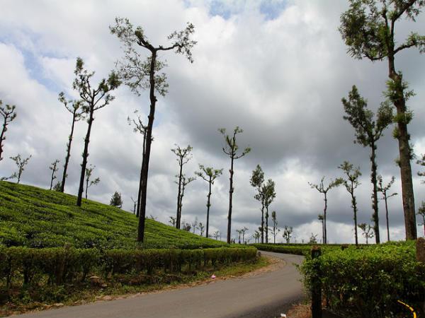వాల్పరాయ్