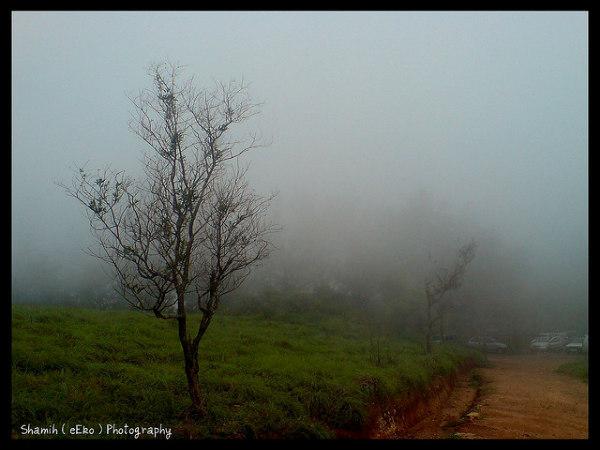 పోనముడి