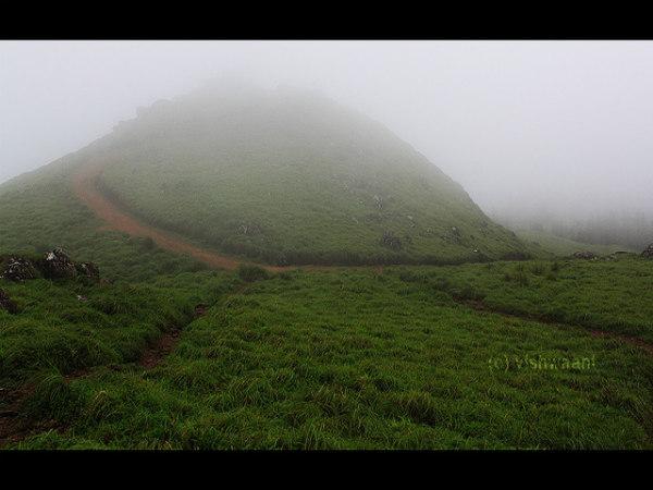 పోనముడి