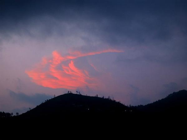 పోనముడి