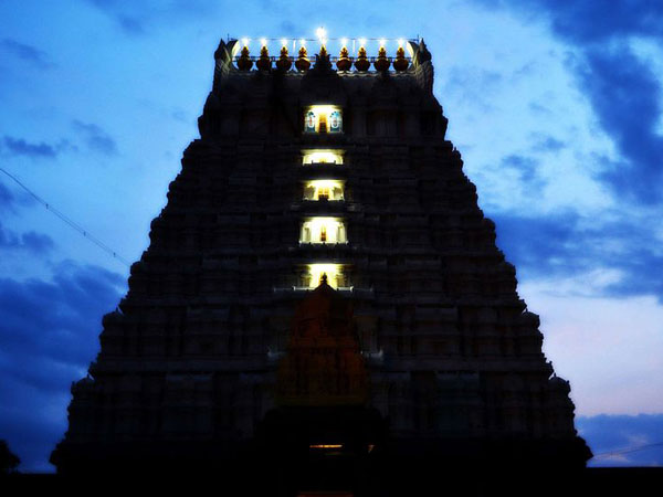 వరదరాజ పెరుమాళ్ దేవాలయం