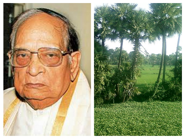 అల్లు రామలింగయ్య