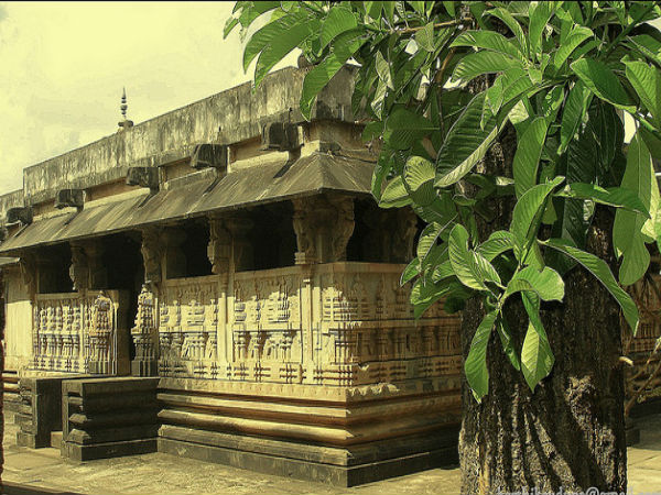 కెలాడి