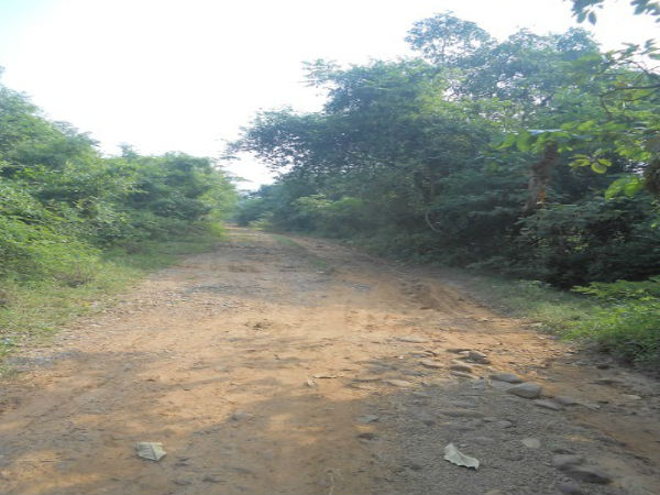 కొండ పక్కన దారి