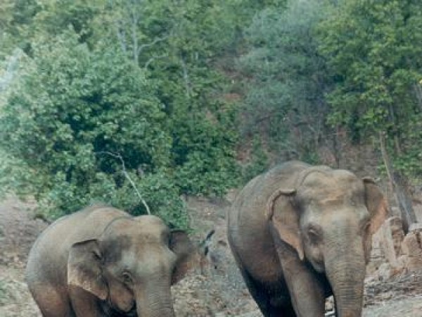 సేమర్సాట్ వైల్డ్ లైఫ్ సంక్చురి