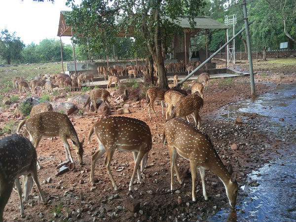 కాలినడక మార్గంలో సుందర దృశ్యాలు
