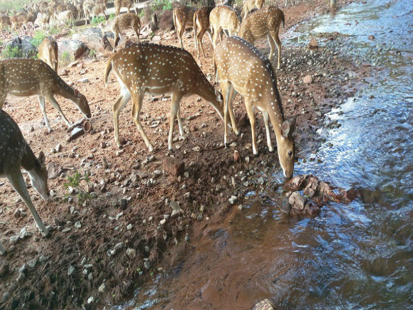 కాలినడక మార్గంలో సుందర దృశ్యాలు