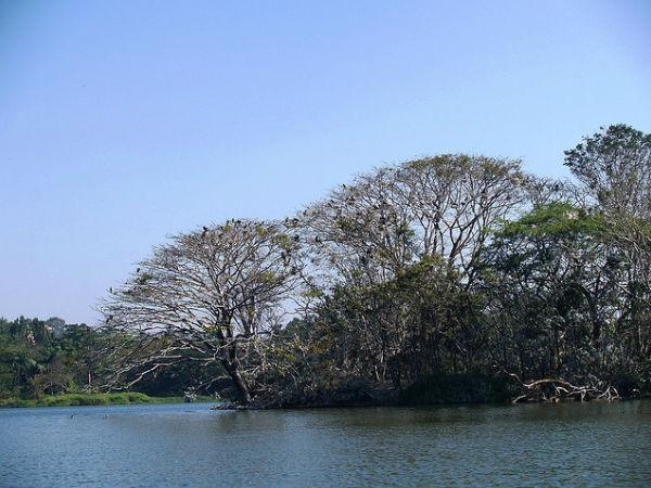 కరంజియా, ఒడిషా
