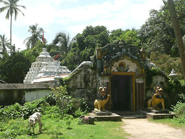 ప్రాచి వాలీ, ఒడిషా