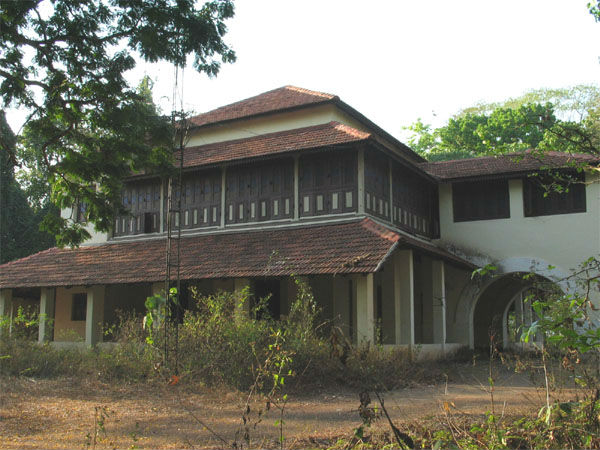 నెడుం కాయం