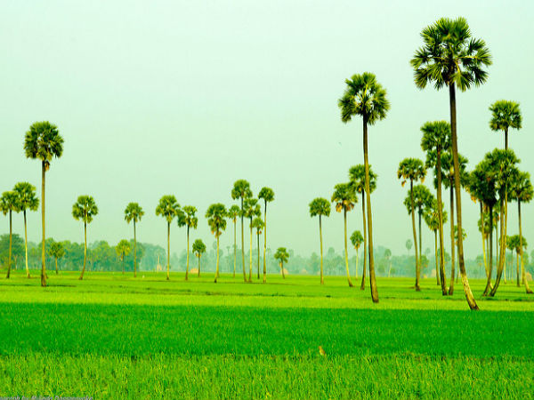 కాకినాడ