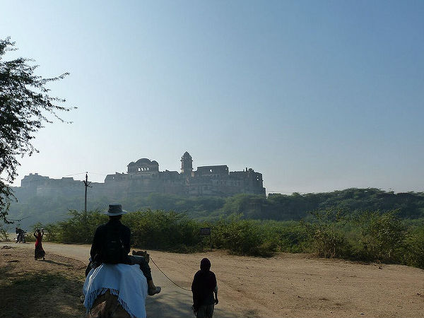 ఒంటె పై సఫారీ