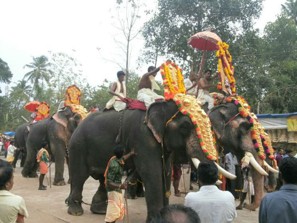 పుట్టింగళ్ దేవి ఆలయం