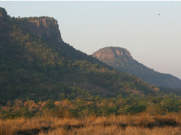 బాంధవ్ ఘర్ కొండ