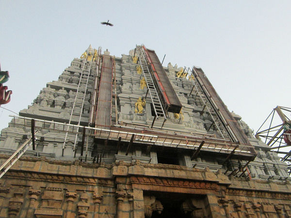 హెలికాఫ్టర్