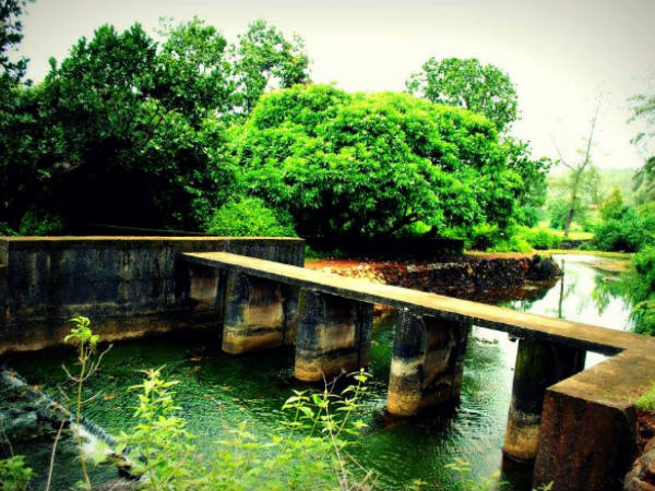 ఎక్కడ ?