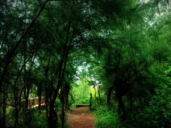 అప్సరకొండ - ఆసక్తికర విషయం