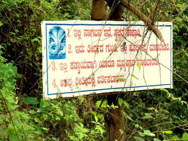 అప్సరకొండ గురించి ఇంకొన్ని విషయాలు