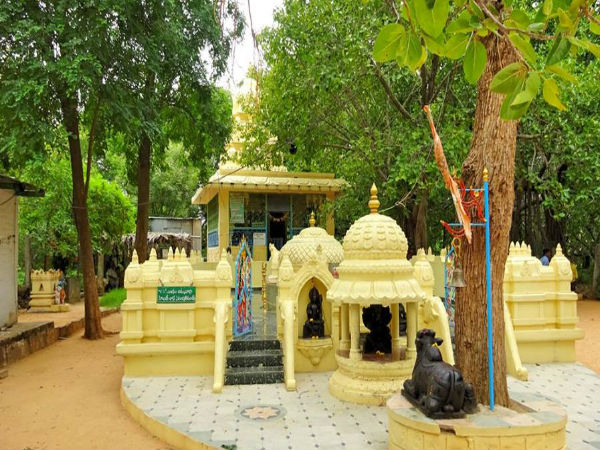 విశేషాలు