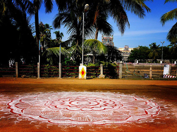 చిత్రకృప : Sundaram Ramaswamy చిత్రకృప : Sundaram Ramaswamy