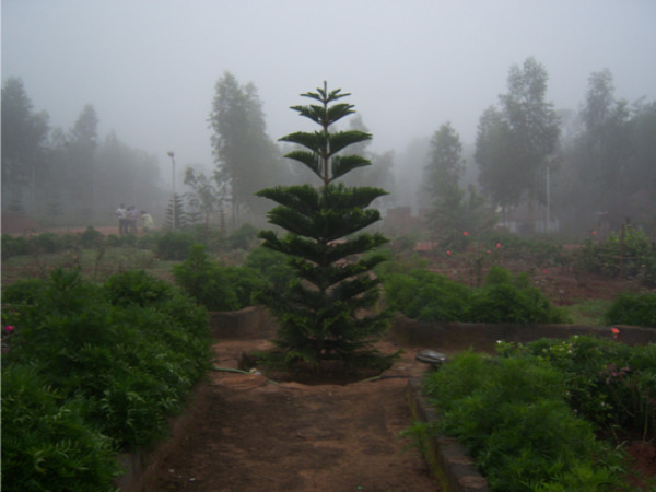 వసతి