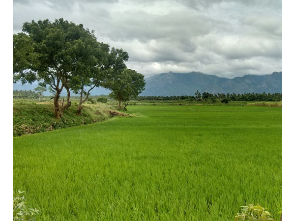ఆహ్లాదం