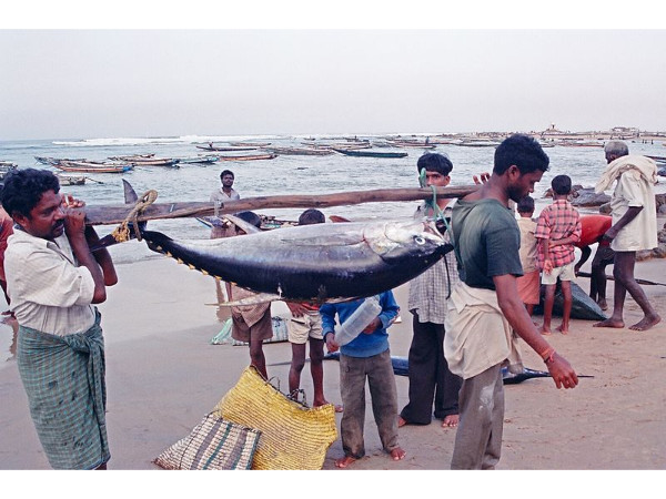 గంగవరం