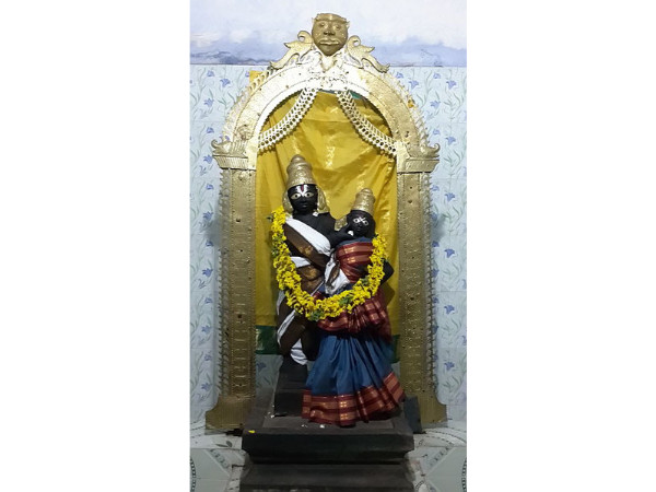 నెమలి ఎలా చేరుకోవాలి?