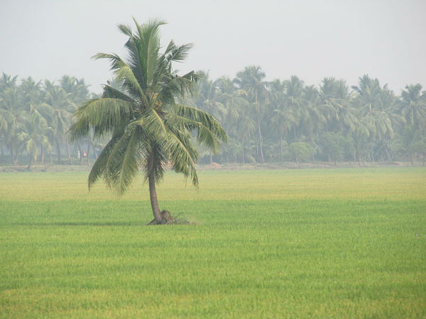 సోమేశ్వరాలయం