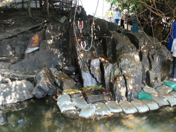 జటాయు పాక