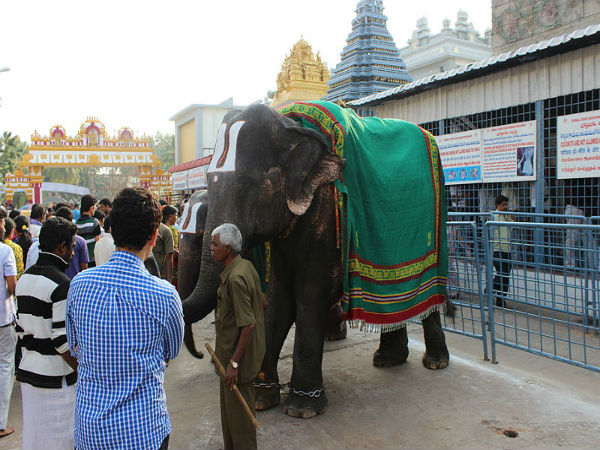 తిరువెంగడ కూటం