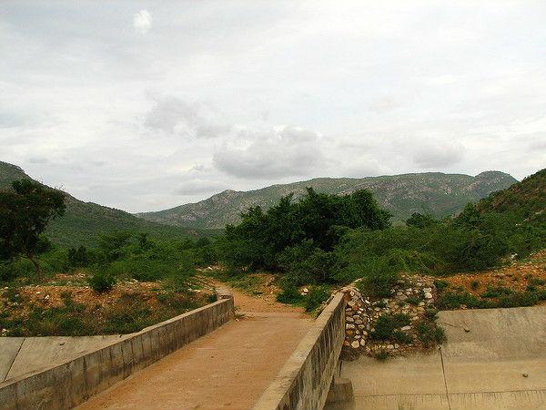 10. ఆదివారం రోజు పర్యాటకుల సందడి