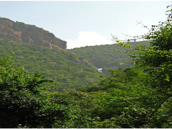 13. డైటింగ్ చేస్తున్న పిచ్చుకలు