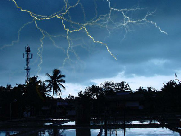 11. చేరుకున్ను