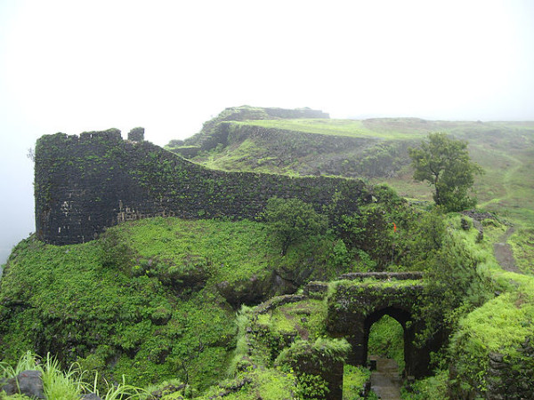4. కోరిగడ్
