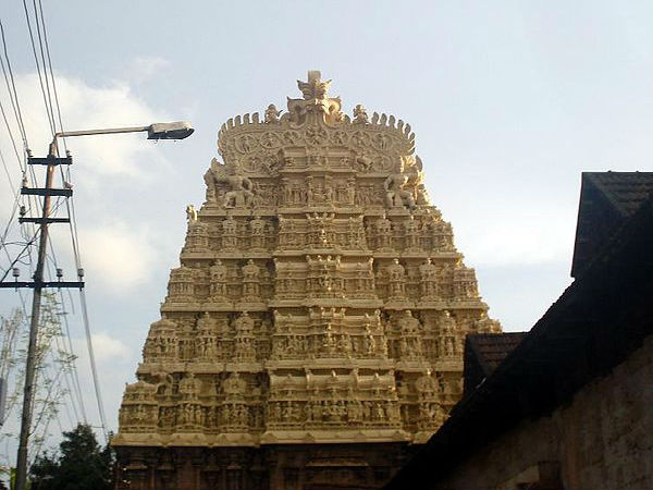 6. పద్మనాభస్వామి అనంతశయనం