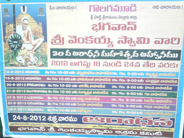 8. సేవలు