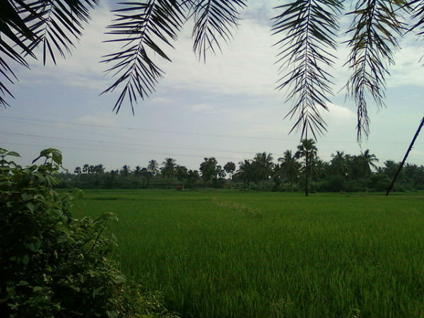 2. వాయు మార్గం