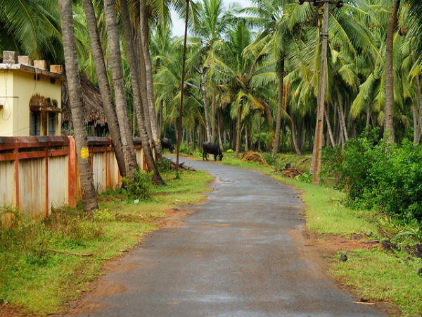 4. కోనసీమ పర్యాటకం