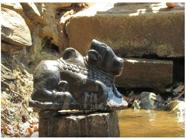 11. ఎలా వెళ్ళాలి?