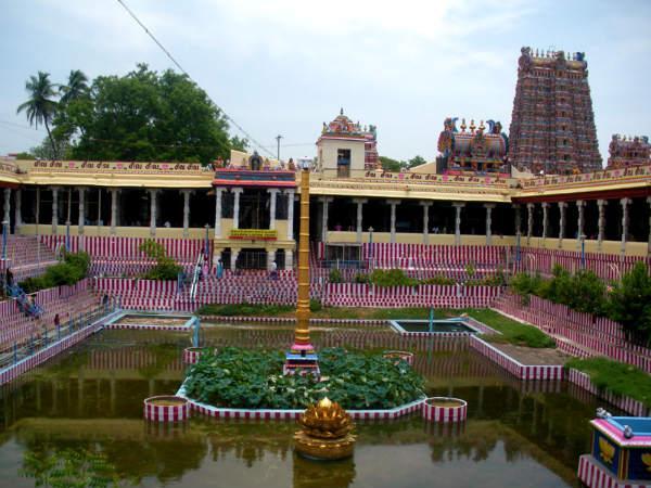 14. బంగారు కొలను