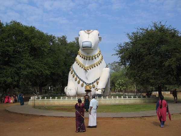 1. స్వచ్చమైన నీరు