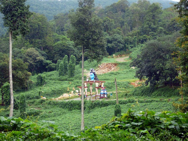 4. మకర సంక్రాంతి