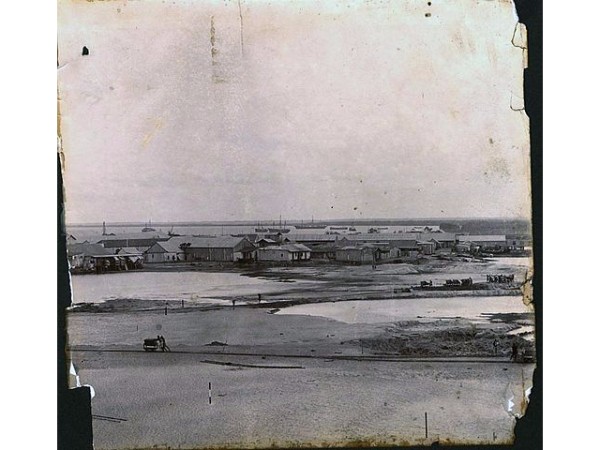5. బీచ్