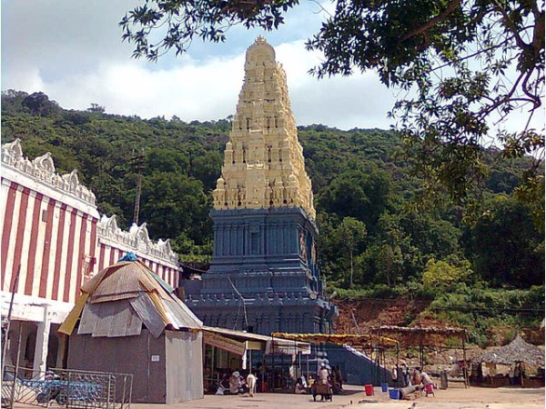 విష్ణుభక్తి