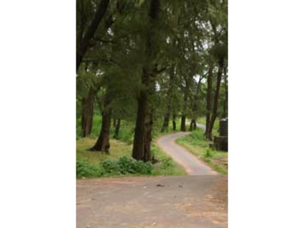 9. హరవల్లి