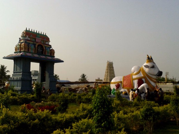 14. ఆలయ ప్రాంగణం