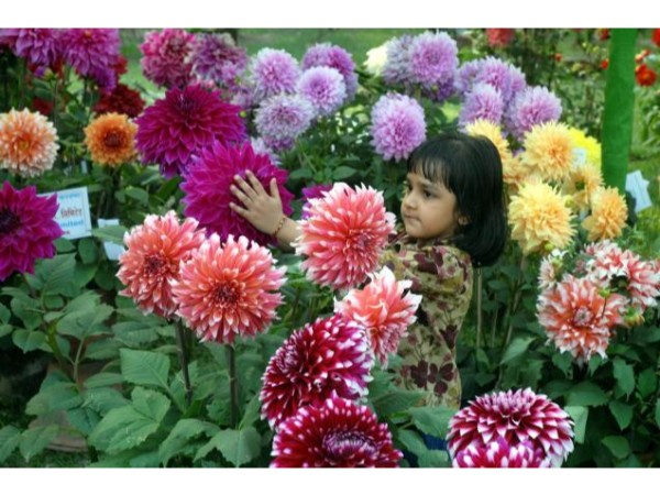 10. ఎత్తైన శిఖరం